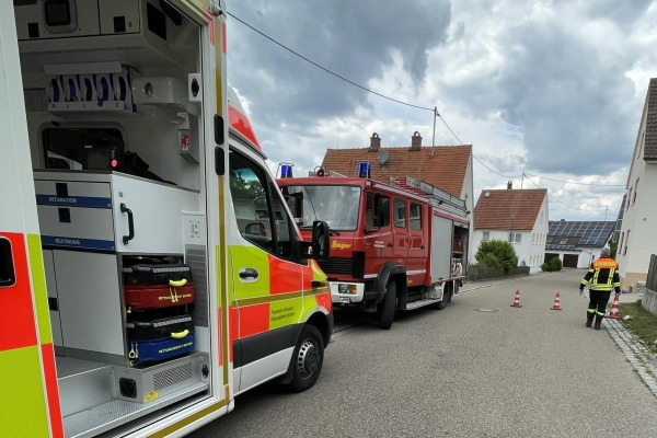 THL - Tragehilfe