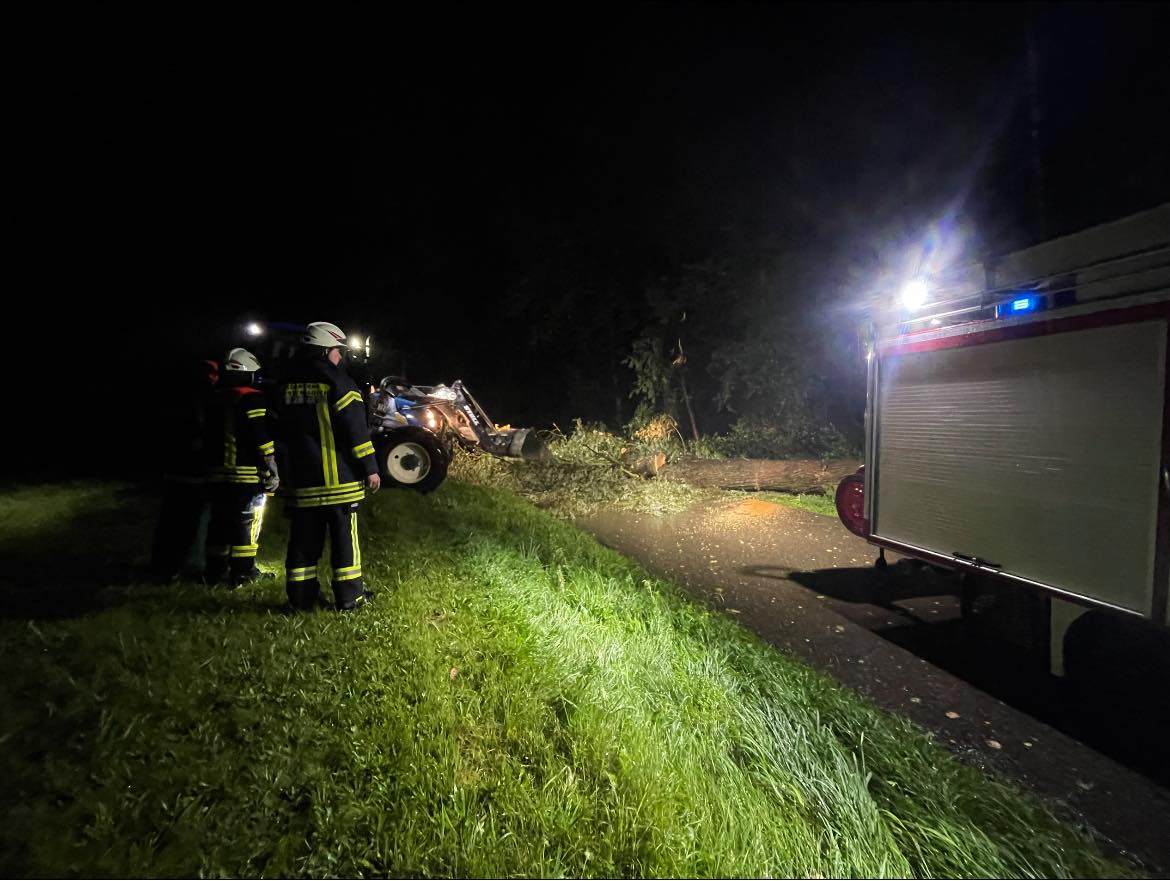 THL Unwetter - Bäume / Äste auf Fahrbahn